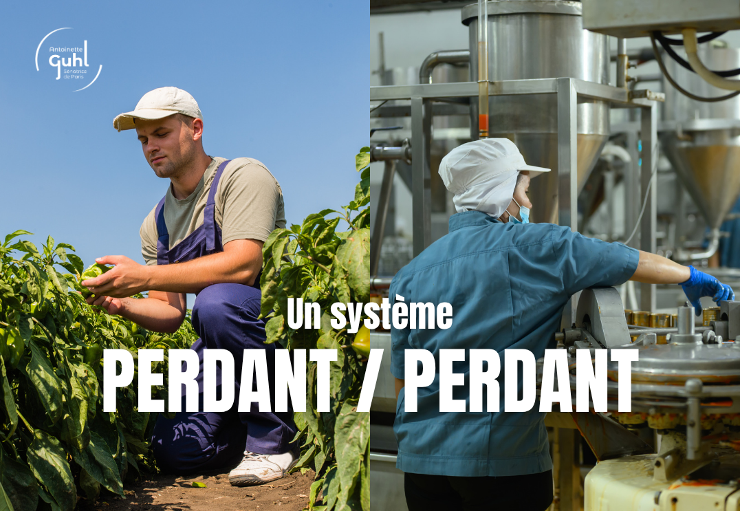 Le système perdant-perdant de la guerre des prix