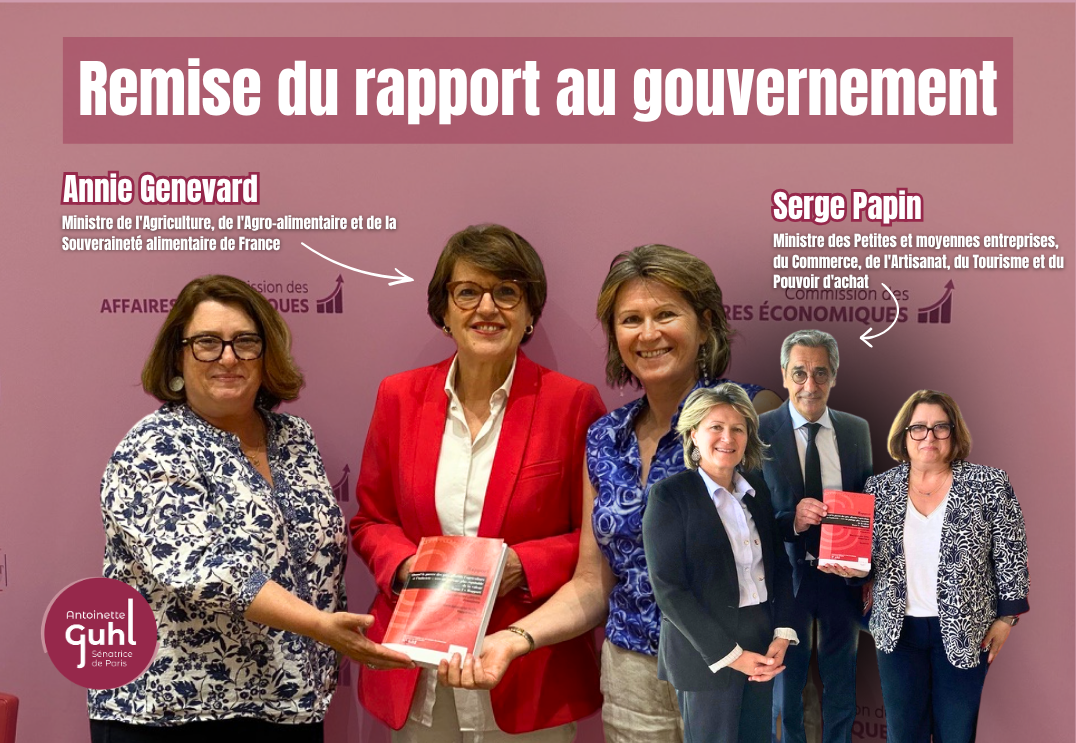 Remise de mon rapport de commission d’enquête sur les marges des industriels et de la grande distribution au Gouvernement